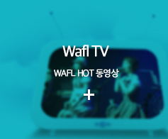 Wafl TV
